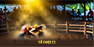 gà chọi C1