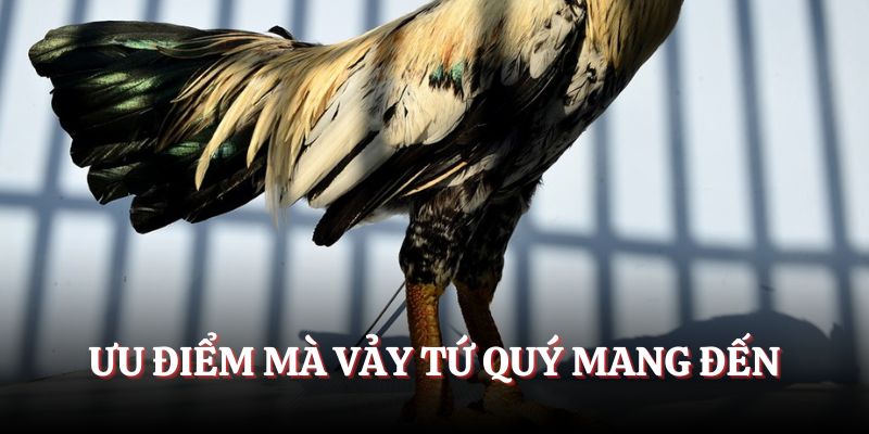 Ưu điểm mà vảy gà Tứ Quý mang đến
